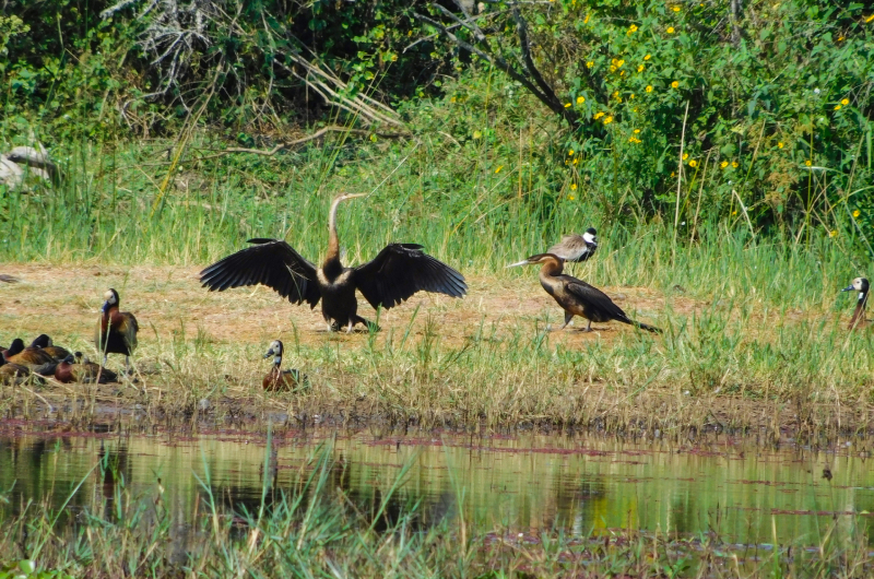 A person hiking in a natural environment.